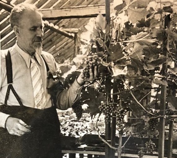 Linnaaednik Hans Lepp&nbsp;1873-1951